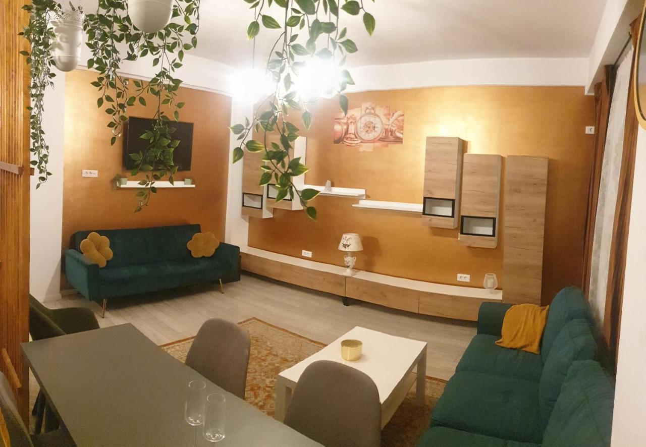 Voluntari Pipera Central المظهر الخارجي الصورة